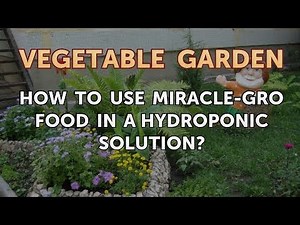 How to Use Miracle-Gro Food in a Hydroponic Solution?