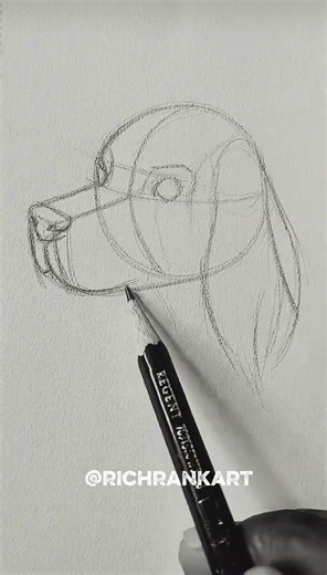How to draw a dog face #drawing #artprocess #art
