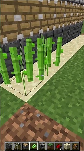 Como HACER una GRANJA de CAÑA de AZÚCAR *AUTOMÁTICA* en MINECRAFT 1.18 (JAVA & BEDROCK)
