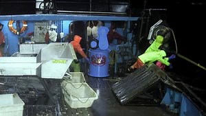 It's every captains greatest fear... Tuesday at 9p, Deadliest Catch swims into its darkest waters. | Deadliest Catch