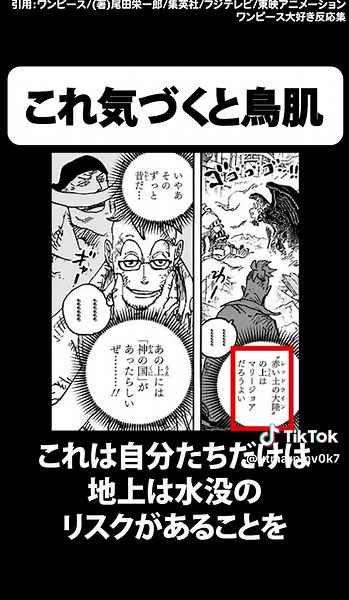 【ワンピース】【最新1113話】これ気づいた？読み返すと伏線だらけで鳥肌ヤバイ...#ワンピース #TikTokcpb