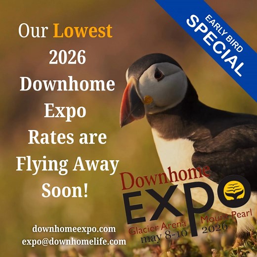 Early bird booth pricing ends soon! 📣 Lock in your booth at the 2026 Downhome Expo at our LOWEST rates! Fill out your application here 👉https://downhomeexpo.com/ Or email expo@downhomelife.com for details. #downhomeexpo #expo #2026shows #marketplace #tradeshow #nlshows #newfoundlandshows | Downhome Magazine