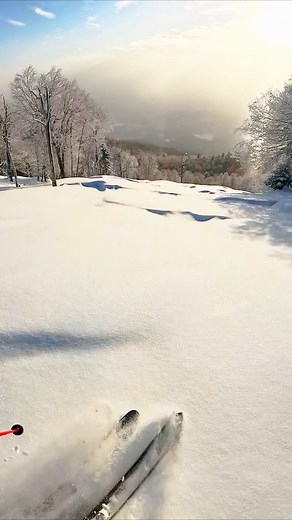 4.9K views · 31 reactions | Ski like a true East Coaster. Unlock a full season of skiing and riding with the Northeast Value Pass, your ticket to the best resorts in the East, including your home away from home, Okemo. Whether you're a weekend warrior or a local adventurer, tap the link below to lock in your Pass today. And don't forget to follow Epic Pass for all the latest updates!  https://bit.ly/4o4yIaF | Okemo Mountain Resort | Facebook