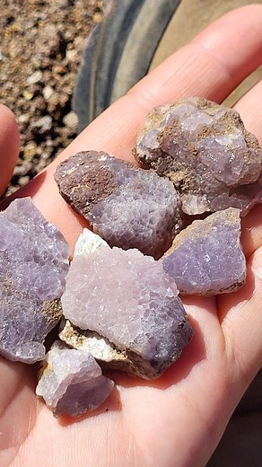 Did somebody say LAVENDER botryoidal fluorite??? 💜⚒️ We followed a hot tip for some hot fluorite just outside of Taos, New Mexico! . Fluorite is one of our favorite minerals as it can take so many different colors and shapes! In this case, "botryoidal" refers to rounded or spherical crystal structure! . Sometimes when we roll up on an unfamiliar site, the first thoughts are a lot of "uhhhhhhhh...where do we even begin??" Prospecting involves a lot of hiking around and looking closely until you 