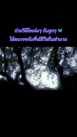 Exploring the Mystical World of Insects and Apples