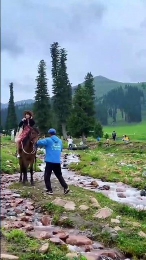 126-Dance under the sunlight_9-2