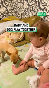 Baby and Dog Play Together | McClure Kids