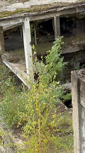 161K views · 5K reactions | Cum a jefuit Remin E.M. Cavnic Distribuiți masiv să ajungă la DNA ! | Vladimir Petrut | Facebook