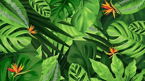 Animation green leaf frame with black s