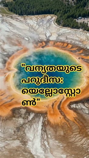 ​"വന്യതയുടെ പറുദീസ: യെല്ലോസ്റ്റോൺ"#shorts #shortvideo
