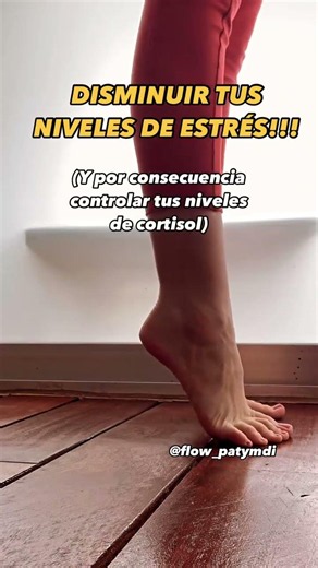 Todos sabemos, que debemos controlar nuestros niveles de ansiedad 😟 y estrés para mantener una
