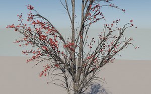 speedtree 到maya的渲染设置