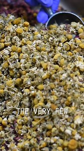 1.2K reactions · 59 shares |  Pluck Tea is a proudly woman-owned Canadian small business. We specialize in small-batch, hand-blended, premium teas crafted in our Toronto facility. | Pluck Tea | Facebook