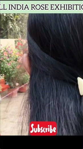 BEAUTIFUL ROSE FLOWER NARANGA #rose