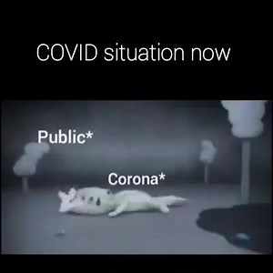 General knowledge on Reels