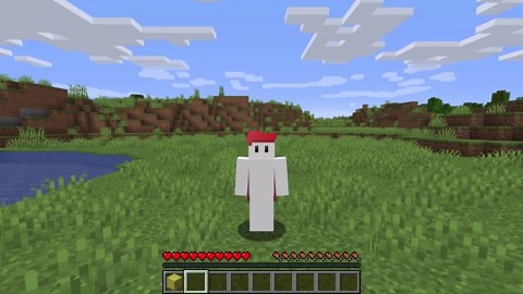 Minecraft Sponge Block Review