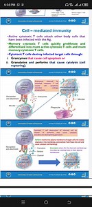 Cell-mediated immunityActive cytotoxic T cells attack other b... | Filo