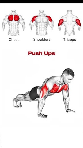 One Exercise That Target Multiple Group of Muscles