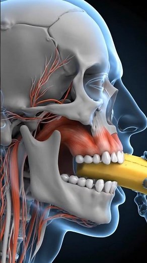 What Happens to Your Body If You Eat Banana Daily