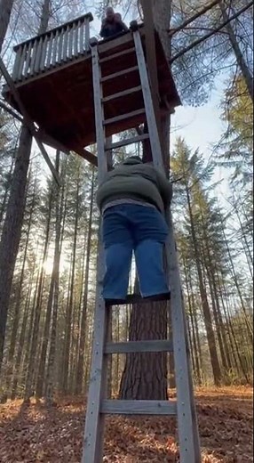 Epic Treehouse Collapse Caught on Camera #Disaster
