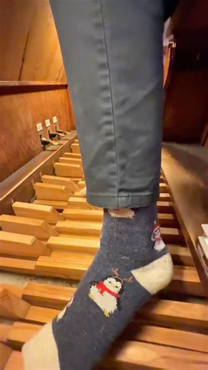 Paul Fey on Instagram: "This is my favorite Christmas hymn this year! 🤩 #organ #church #kirche #churchorgan #organistsofinstagram organist orgue opera classical classic musik music comeallyefaithful adestefideles"