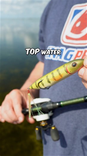 This dog will walk anywhere! The Zoo Dog is built to emulate the action of your traditional walking bait, but in a weedless hollow bodied design. Have you jumped on the Zoo series hype yet?! 🐸 🐸 #snagproof | Snag Proof Lures