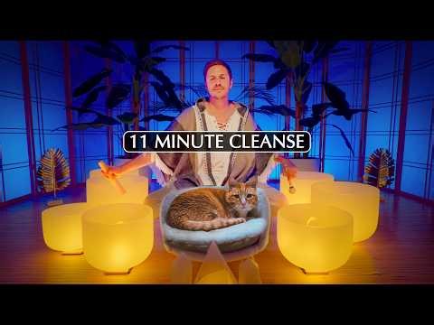 Ever Tried HYPNAGOGIA? - Sleep Training in 11 Minutes