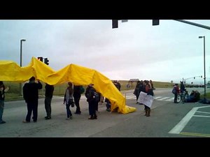 Slug blocks road leading up to UCSC campus