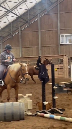 Jo was so good for my first lesson back after two weeks being away