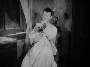 Laughing Gravy (1931) - Classic Laurel and Hardy Dog Comedy Short | Hal Roach Studios Film