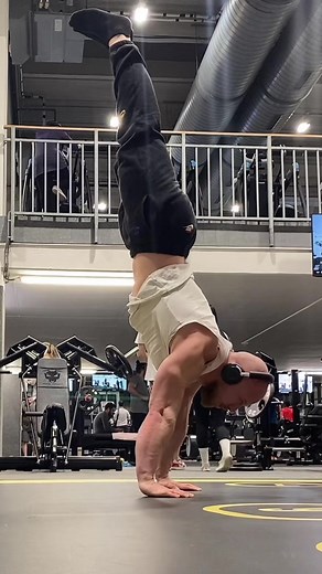 fredyworkout on TikTok