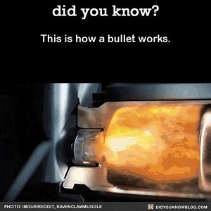 5.2K views · 176 reactions | ¿Lo sabias?; Así es como funciona una bala. #Balística | Federación Internacional de Criminología y Criminalística | Facebook