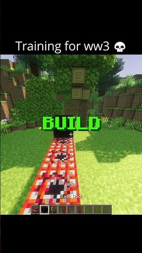 Minecraft ww3 training 💀
