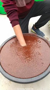 1.6M views · 9.6K reactions | Right ✅ way to use cocopeat brick in gardening for plants  #cocopeat #USES #gardening #plants #terracegarden #organicgardening #gardeningaasaanhai #fbreels #reelitfeelit | Gardening Aasaan Hai | Facebook