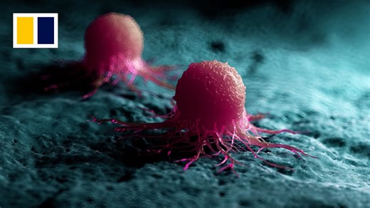 Top biotech scientist Chen Xiaoyuan denies sexual harassment claim, says he will appeal