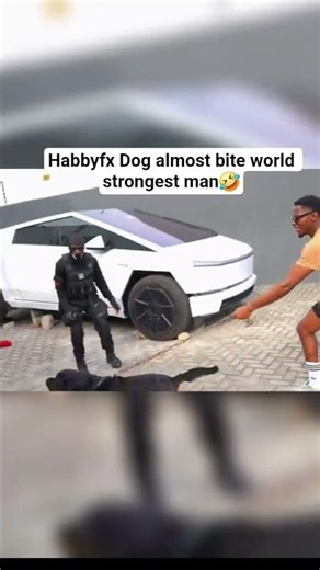 Habbyfx Dog almost bite world strongest man🤣 #habbyforex #automobile #scripting #funny