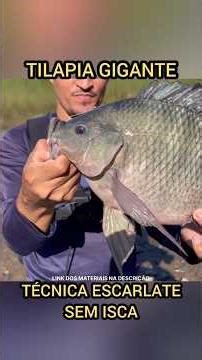 monstro do rio #pesca #pesca #fishing #pescaria