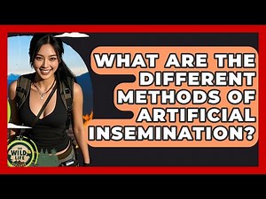 What Are The Different Methods Of Artificial Insemination? - The Wild Life Explorer