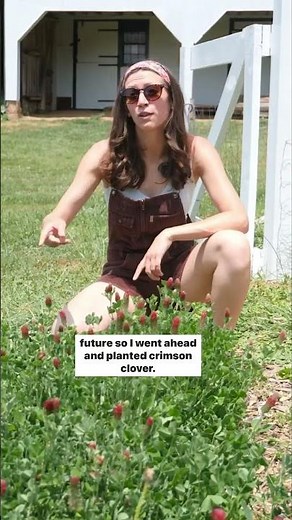 Cover Crops in the Garden #gardeningtips