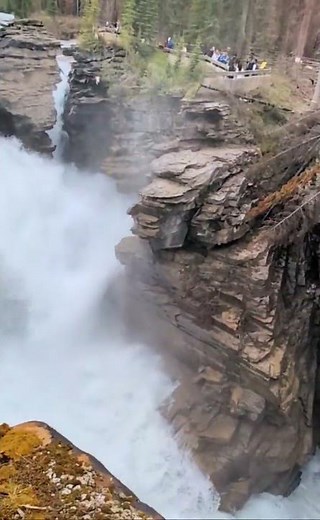 🇨🇦Athabasca Falls #discoveringcanada #nature #waterfall