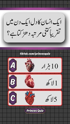 Daily Life General Knowledge Quiz in Urdu