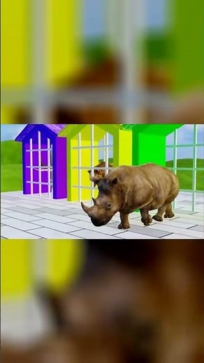 3D Hippo Animation 🦛 ASMR | Oddly Satisfying Loop