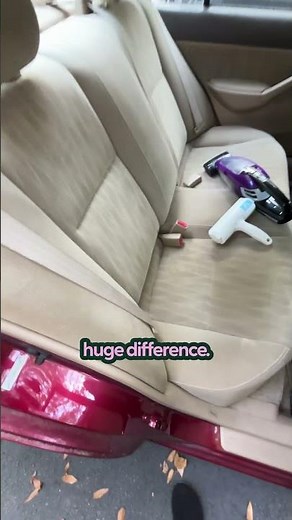 Products That Actually Get Rid Of Pet Hair | The Pack