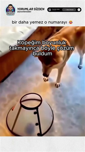 nasıl üzüldü kıyamam 😂