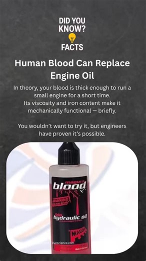 Did You Know Facts on Instagram: "Most People Don’t Know This (But They Should) Human Blood Can Replace Engine Oil From a purely mechanical standpoint, human blood has properties that overlap with industrial lubricants. It has viscosity, contains iron-rich compounds, and can reduce friction between moving parts. Engineers and researchers have demonstrated that, in theory, blood could act as a temporary lubricant in small engines or mechanical systems under controlled conditions. This doesn’t mea