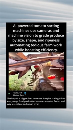 AI Tomato Sorter: Machine Vision Automates Grading 🤯 #shorts #shortfeed #sehar