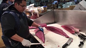 67 reactions · 13 shares | This video from the market is GUARANTEED to make you hungry for #FultonFresh TUNA. Buy it here - https://goo.gl/jxewBr! Enjoy 20% off and free shipping on orders over $90 with the code SEAFOODHOLIDAY. | Fulton Fish Market | Facebook