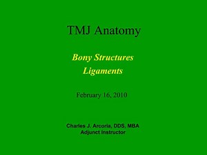 TMJ Anatomy - SlideServe