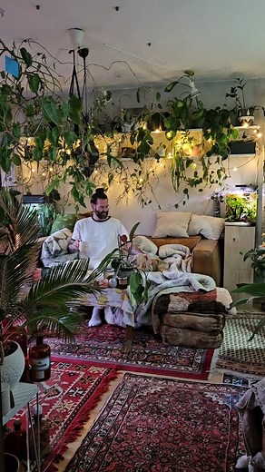 36 reactions | sunday in my home jungle ✨️華 #livingroom #livingroominspo #interior_and_living #wohnzimmer #jungledecor #apartmenttherapy #oriental #parisianamour #aesthetic #plantlover #lesparisiennesdumonde #mood #melancholy #urbanjunglebloggers #moodygrams #aesthetic #selfcare #romantic #moroccan #germaninteriorbloggers #slowliving #dreamhome | munichjungle | Facebook
