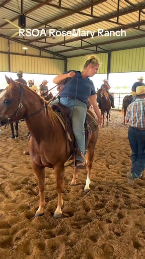 3.7K views · 43 reactions | We had a great time at the RoseMary Horse Ranch this weekend. Congratulations to all of our winners #horsebackriding #funnyhorse #horseshow #horses #horsebackriding | Ranch Sorting of America - RSOA | Facebook